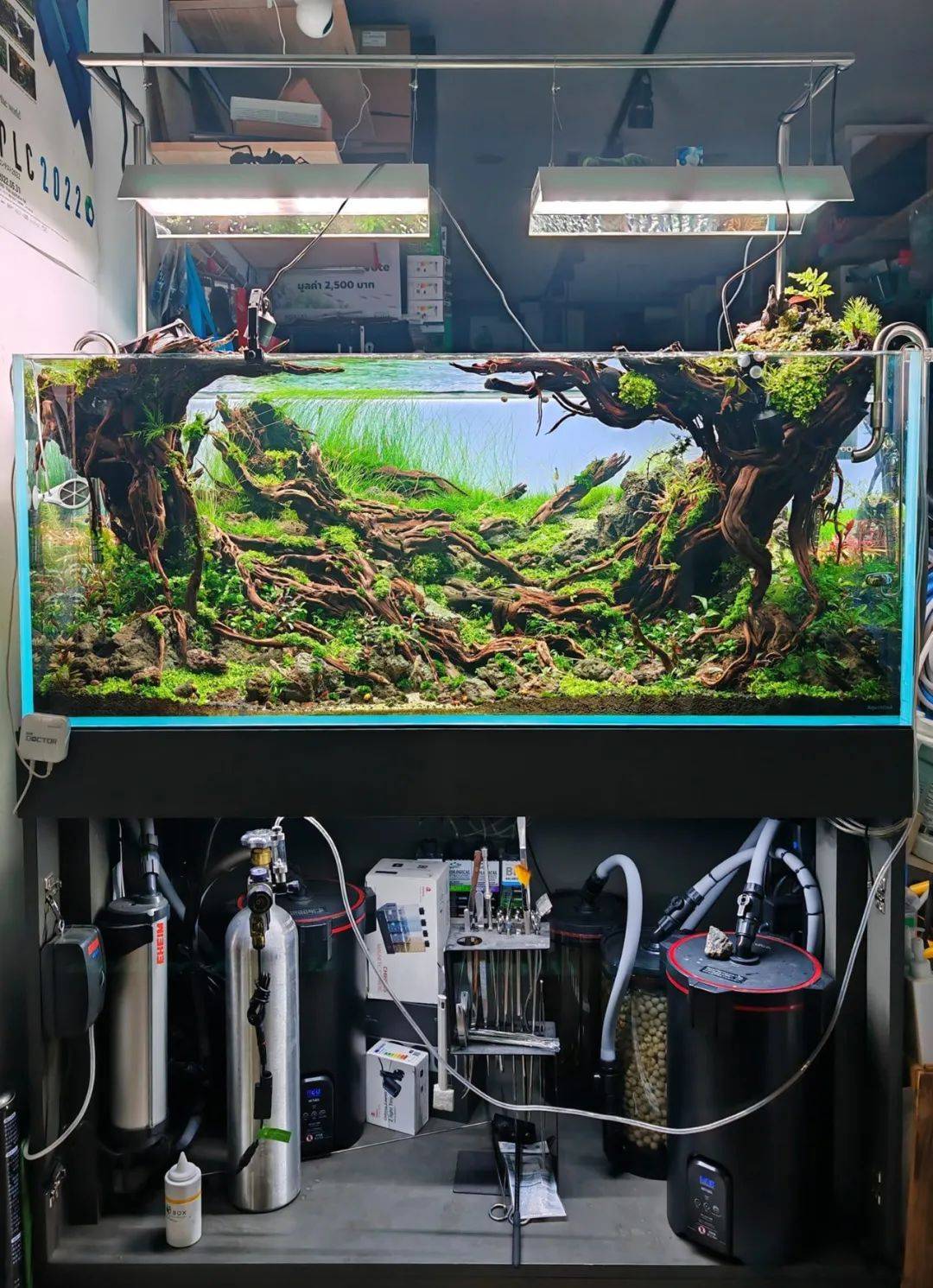 水族箱造景比賽 藝術(shù)與生態(tài)的完美融合