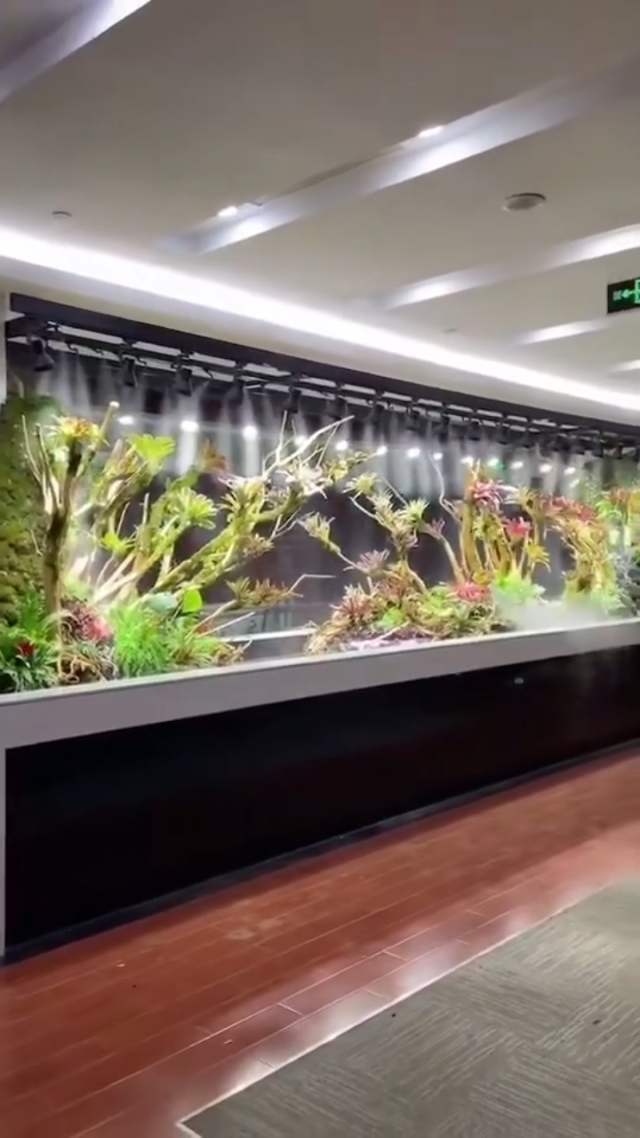 水族箱 微型海洋的藝術與科學