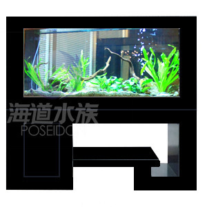 批發供應玻璃魚缸、生態魚缸及新式簡約花架柜式魚缸——保定海道水族科技