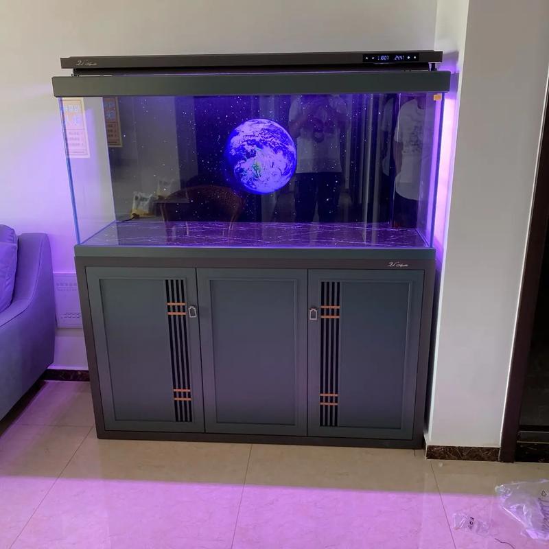 定州市南城區尹家莊 專業水族箱批發，打造水族愛好者首選地