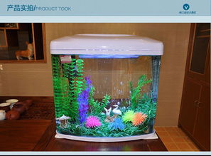 創(chuàng)意生活新體驗 閩江寶來金鉆小型超白玻璃水族箱